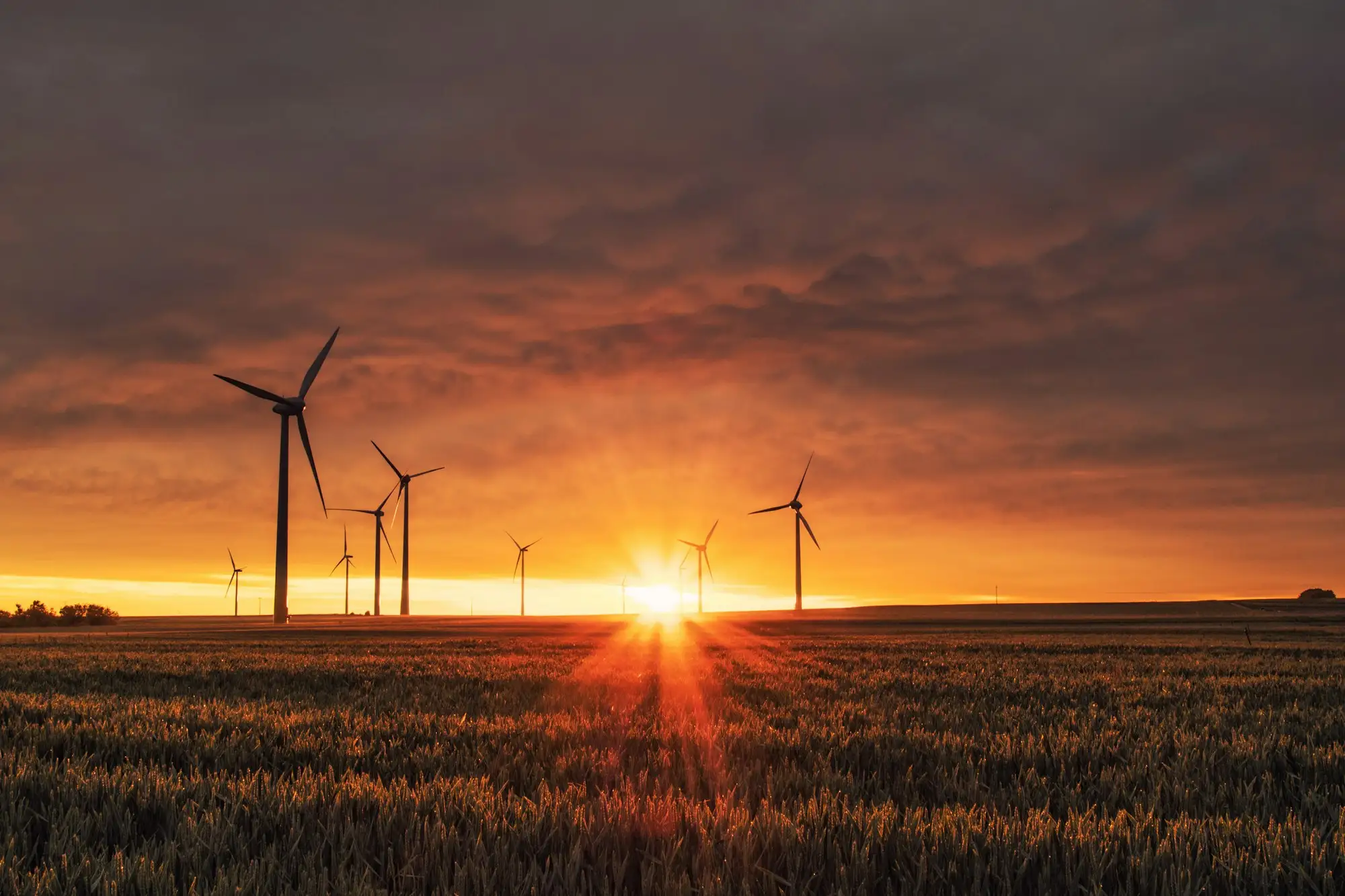Linhas de transmissão e estrutura de energia recortando o céu