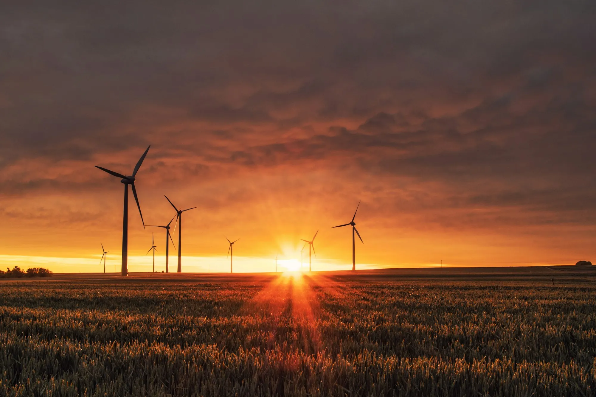 Linhas de transmissão e estrutura de energia recortando o céu